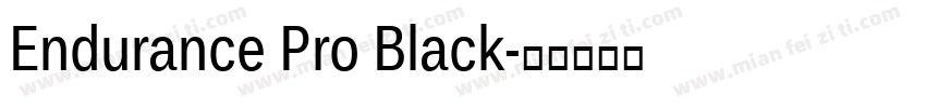 Endurance Pro Black字体转换